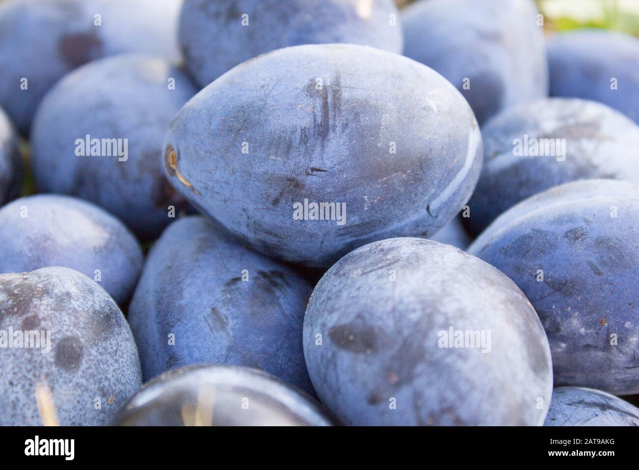 High fodmap food hires stock photography and images Alamy