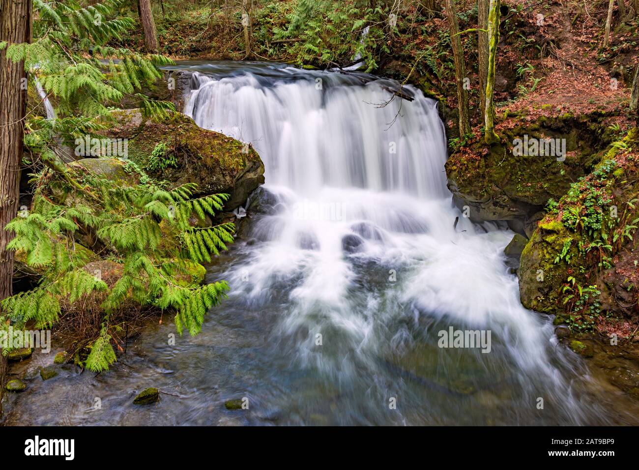 a long exposure of Whatcom Falls in Whatcom Falls Park Bellingham Washington USA Stock Photo