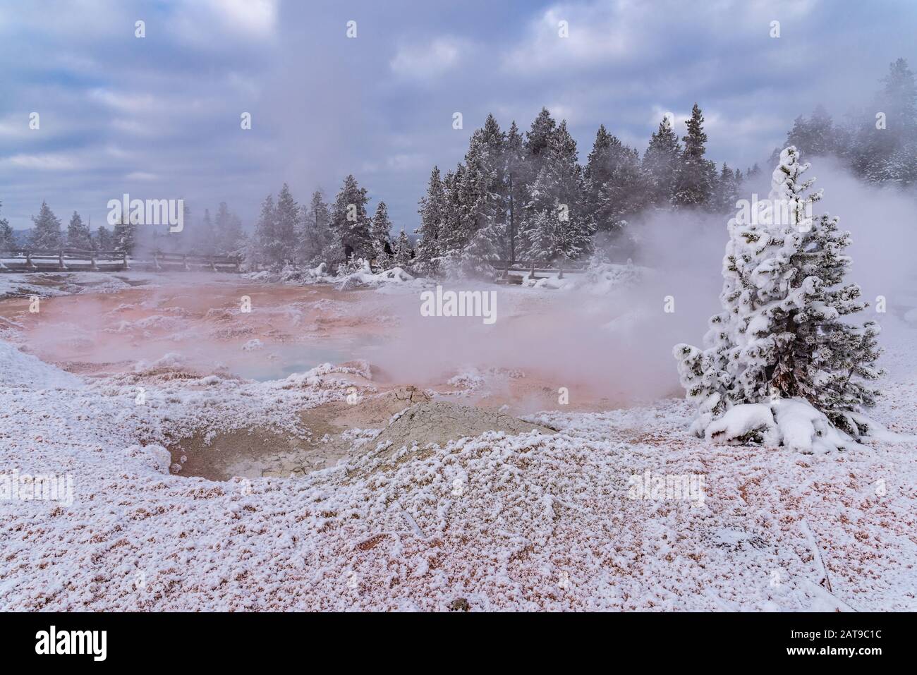 Steam rises from a fumarole in winter. Yellowstone National Park, Wyoming, USA Stock Photo