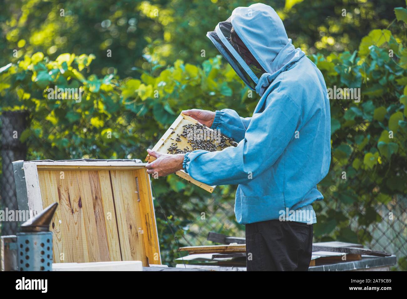 Big Branch Apiary