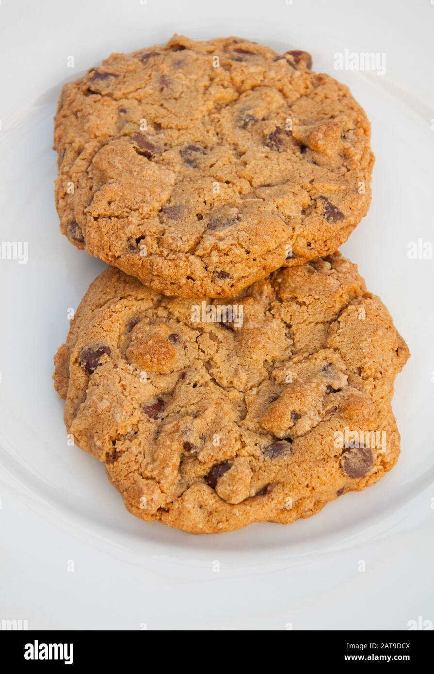 Two chocolate chip cookies closeup on a white plate freshly baked out of the oven. Stock Photo