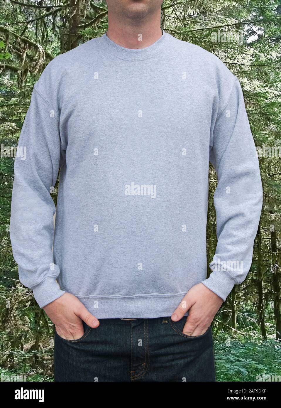 Guy sweatshirt mockup gray sweatshirt with room for text or design with a forest background.  Clothing and fashion related garment. Stock Photo