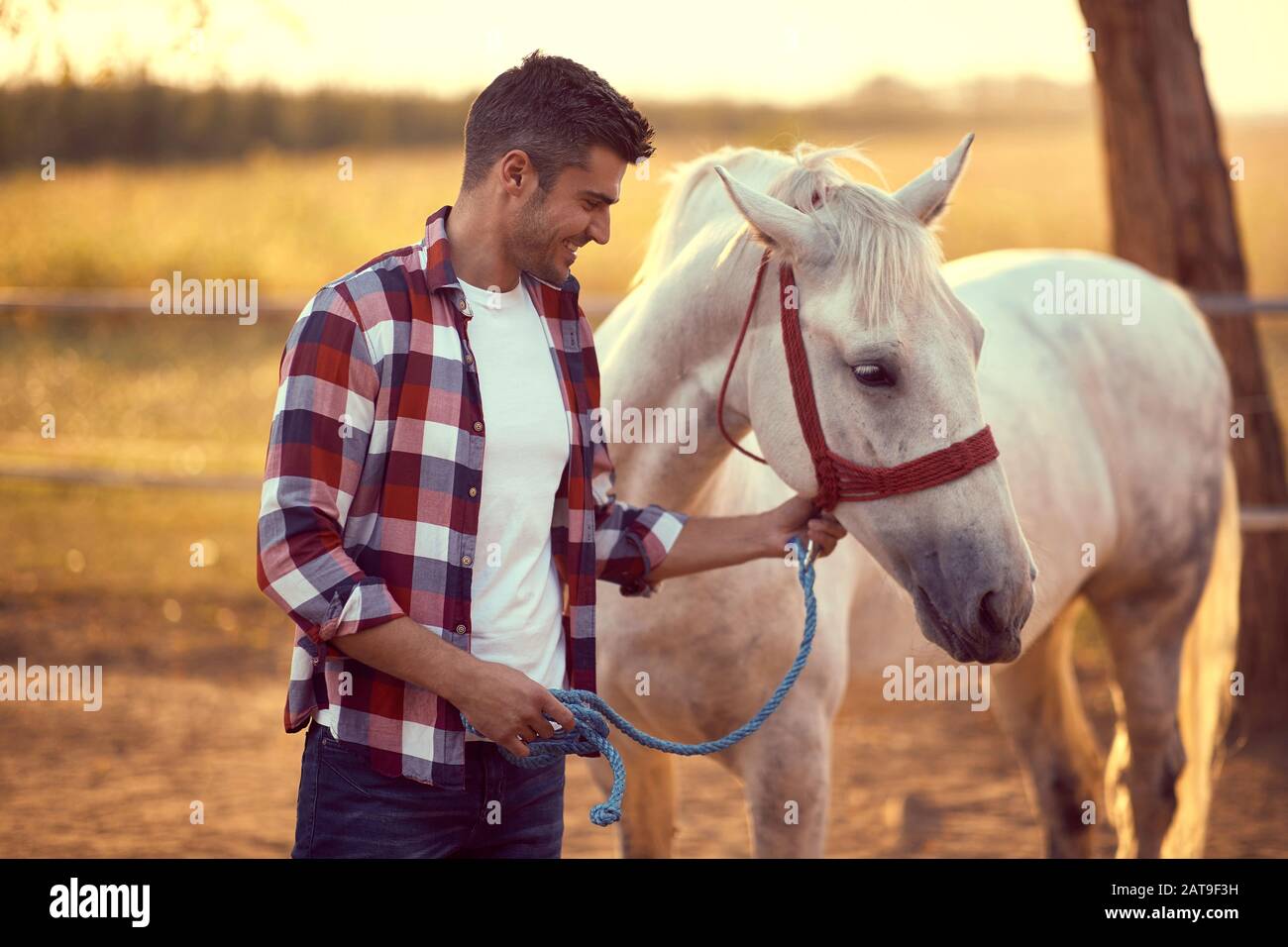 Handsome smiling man leading his white horse on the ranch.  Fun on countryside, sunset golden hour. Freedom nature concept. Stock Photo