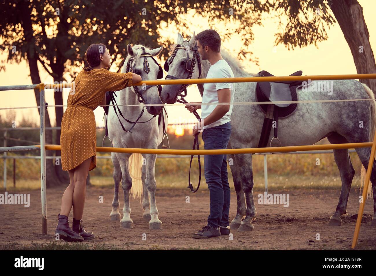 Romance on the horse ranch, two love birds and two horses. Fun on  countryside, sunset golden hour. Freedom nature concept Stock Photo - Alamy