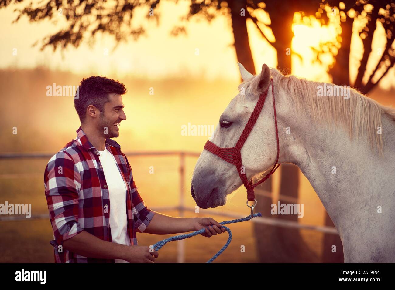 Young man and his horse starting the day together. Fun on countryside ...