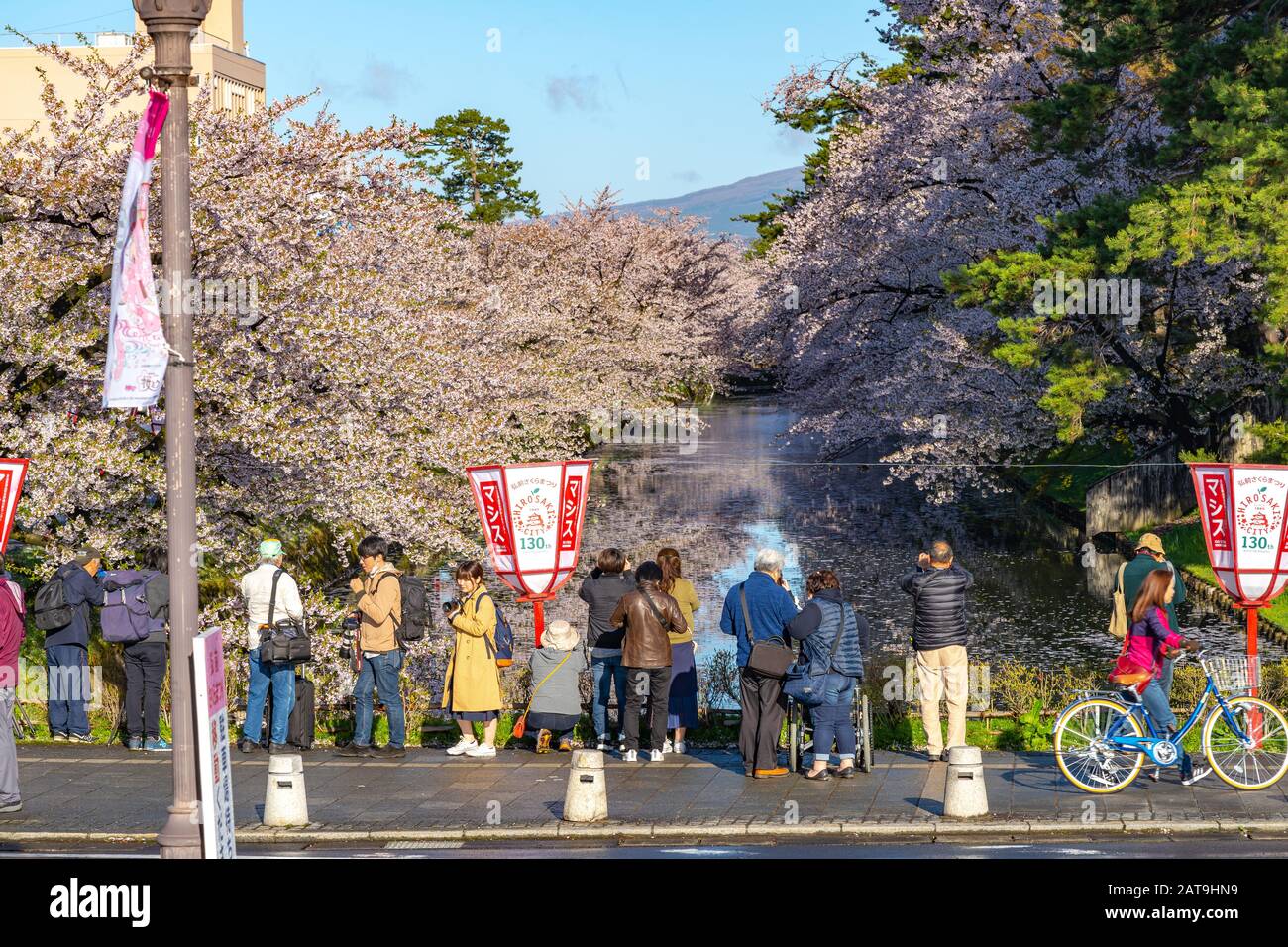 Hirosaki Park cherry blossoms Matsuri festival in springtime season sunny day morning. visitors enjoy beauty full bloom pink sakura flowers Stock Photo