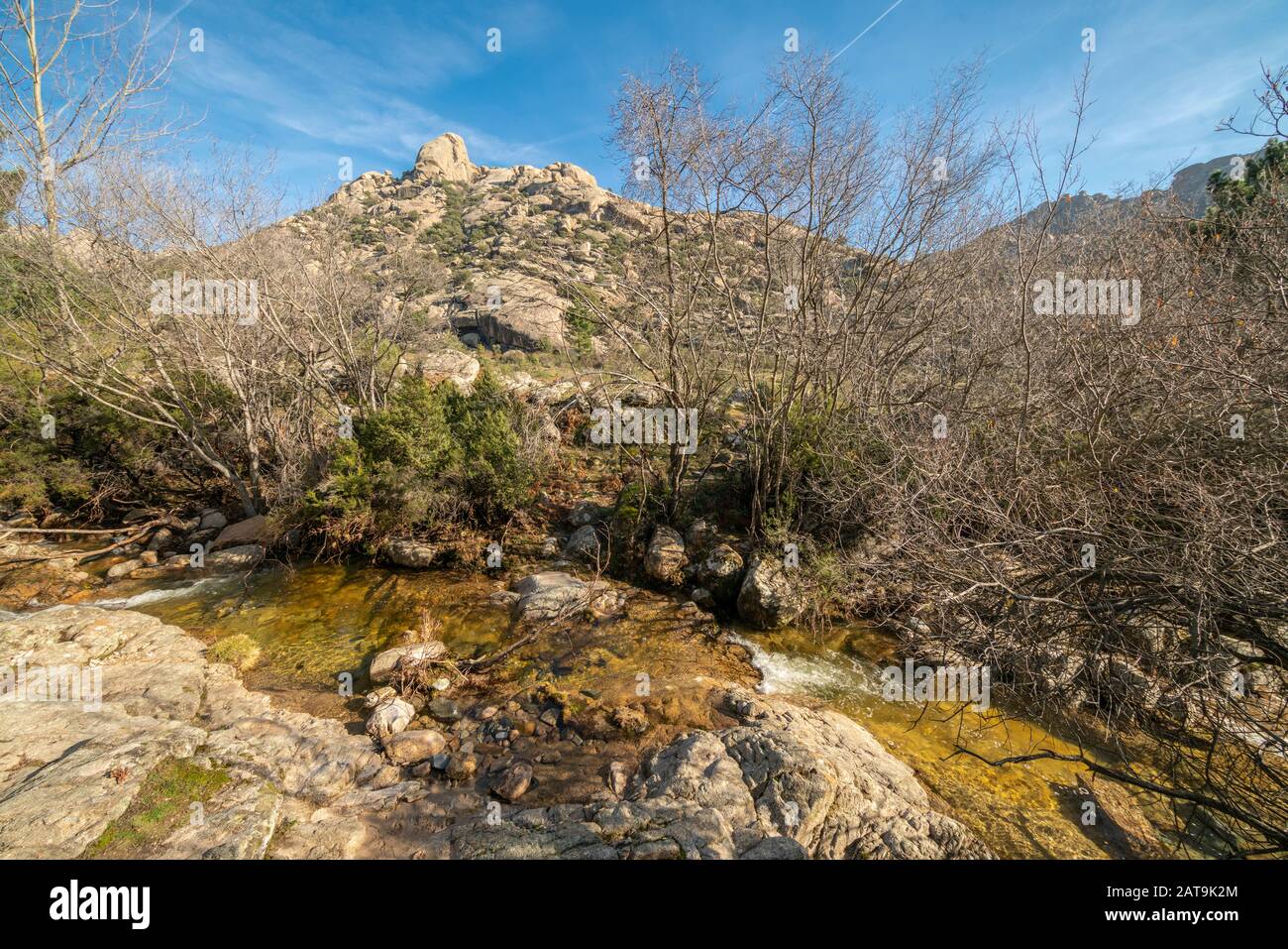 Amazing forest view with the trees, Manzanares river and in far distance the rugged granite mountains of La Pedriza area inside Sierra de Guadarrama Stock Photo