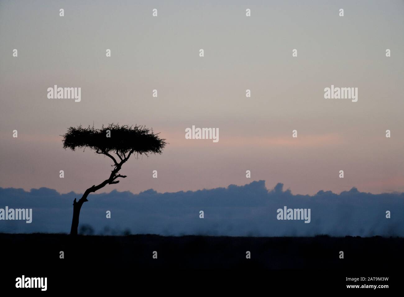 African sunset over the Maasai Mara, Kenya Stock Photo - Alamy