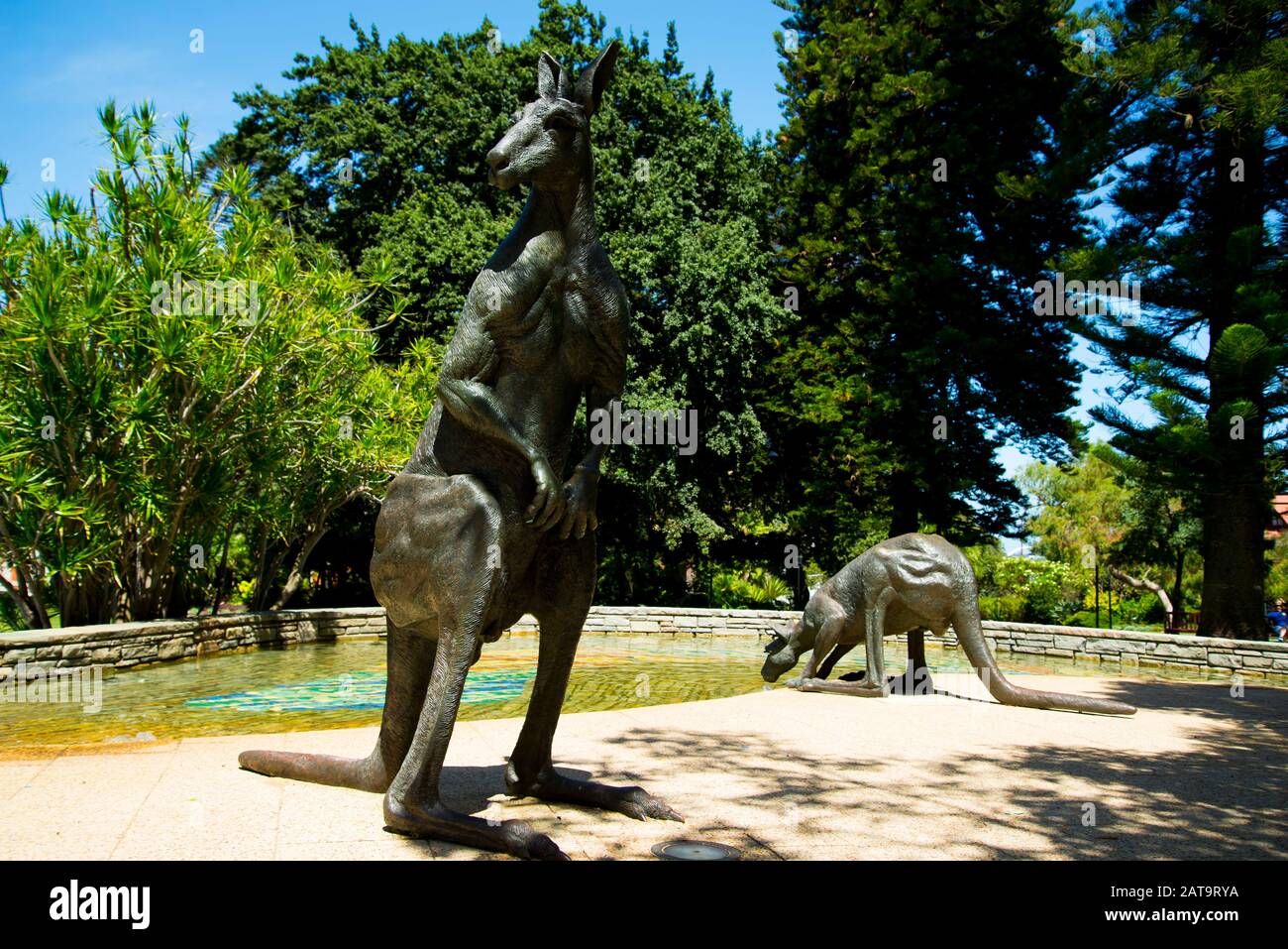 Kangaroos Statue Perth Australia Stock Photo Alamy