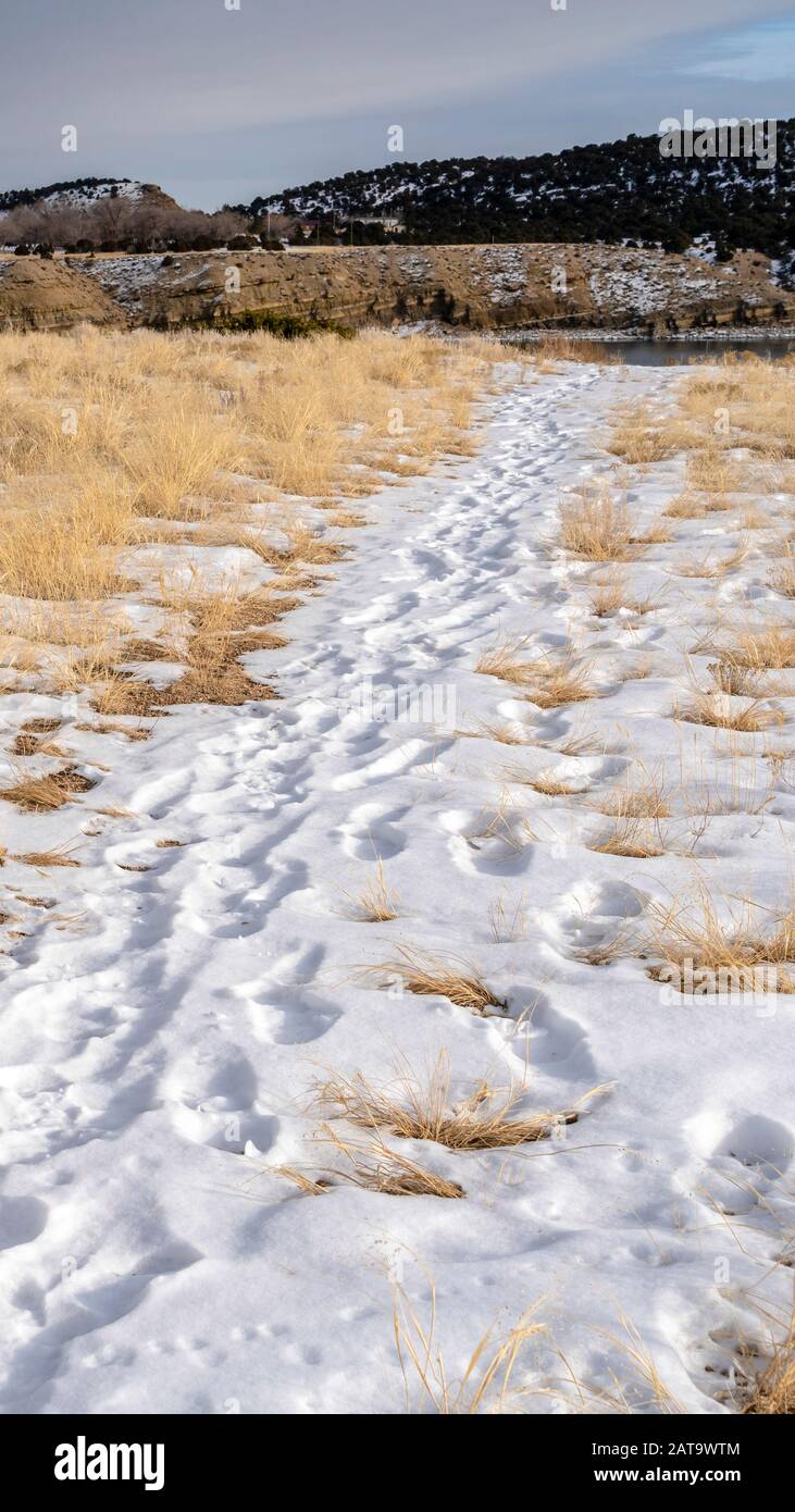 Vertical frame Hiking trails covered with snow overlooking scenic hills