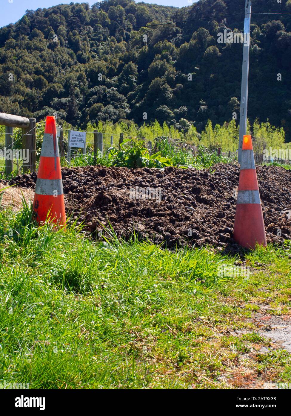 Horse Poo And Traffic Cones Stock Photo Alamy