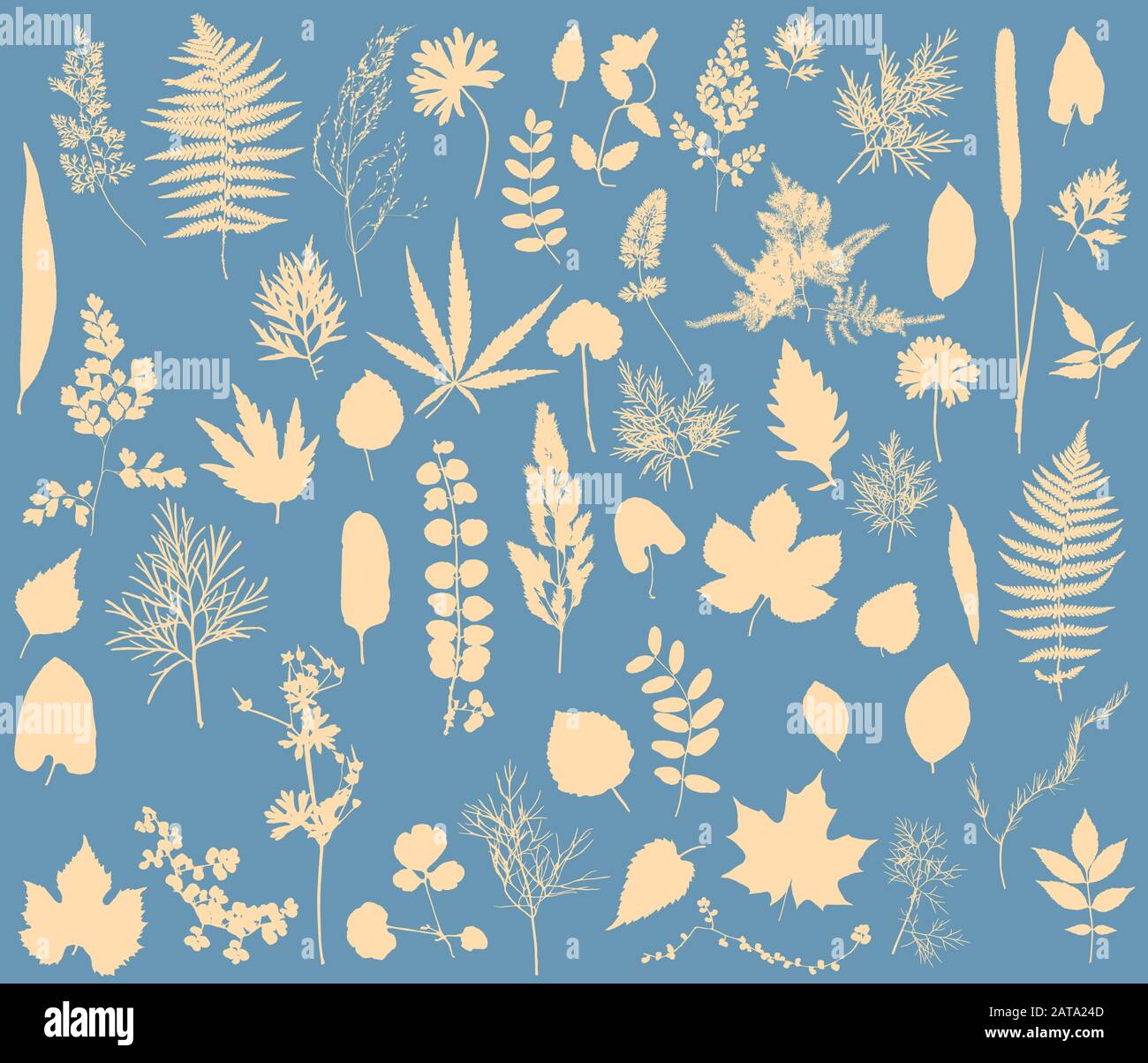 Herbarium - Vector Collection of Dried Leaves Silhouettes Stock Vector