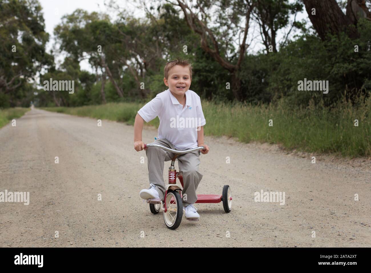 propain downhill bike