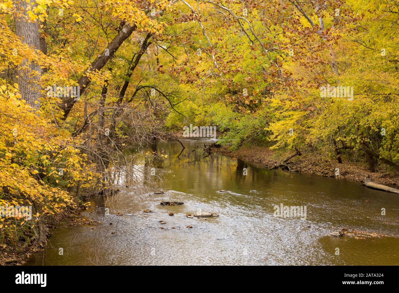 Leo cedarville hires stock photography and images Alamy