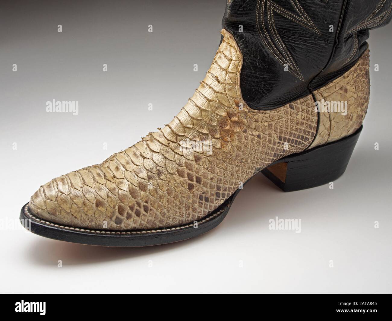 Cowboy boot made from the skin of a short-tailed or blood python (Python curtus). This species ...