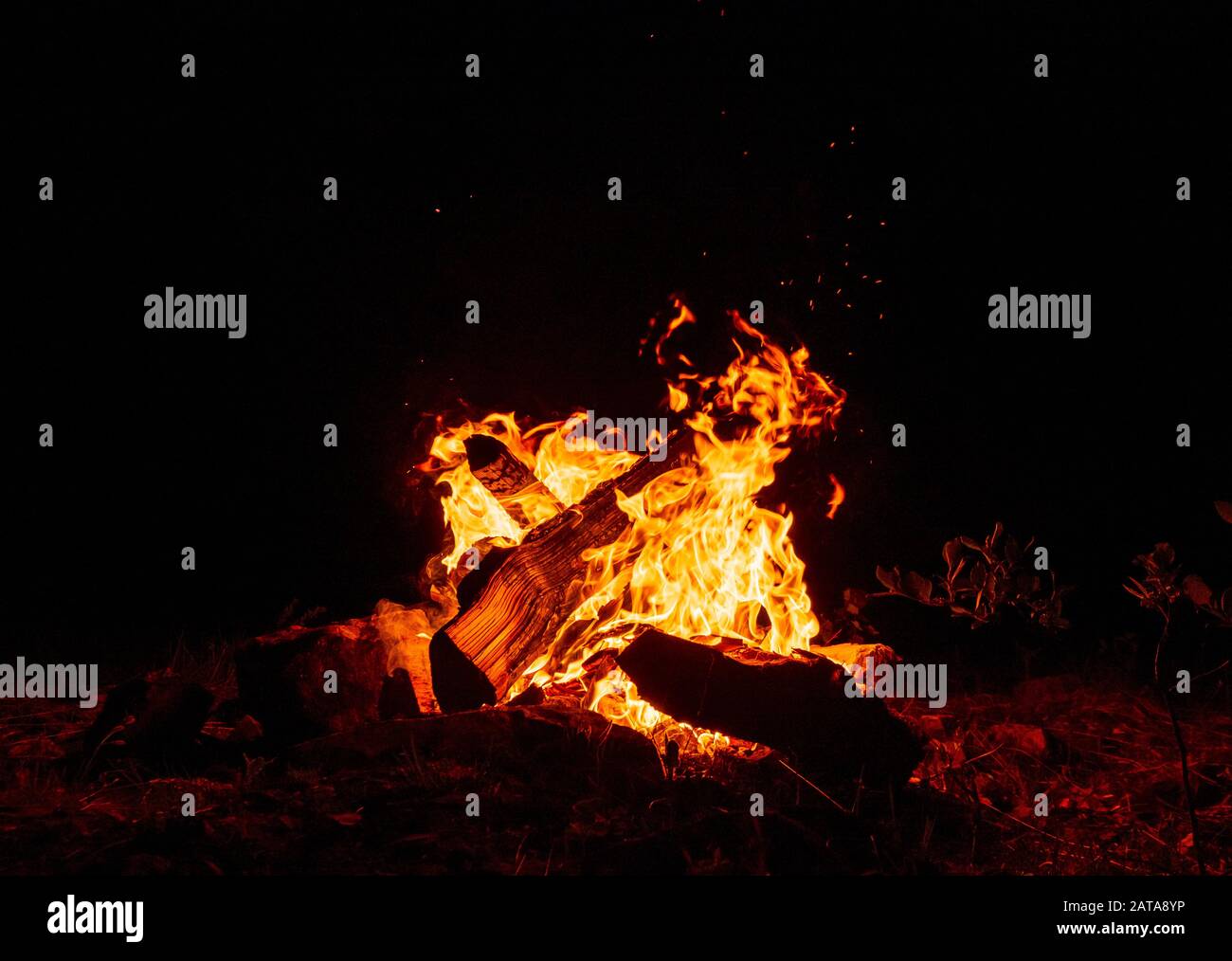 Campfire burning at dark night Stock Photo - Alamy