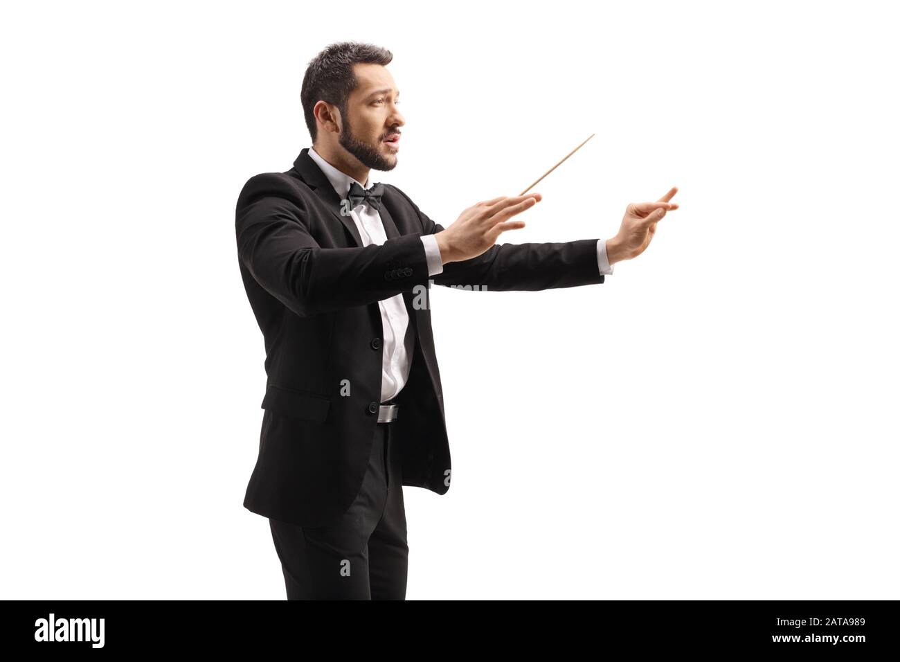 Male conductor in a suit conducting with a baton and gesturing with hand isolated on white background Stock Photo