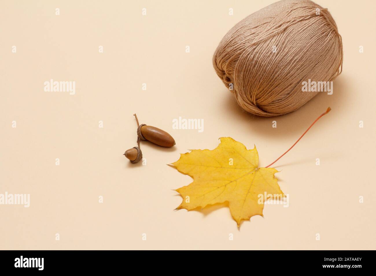 Knitting yarn balls and acorn on a beige background. Knitting concept. Stock Photo