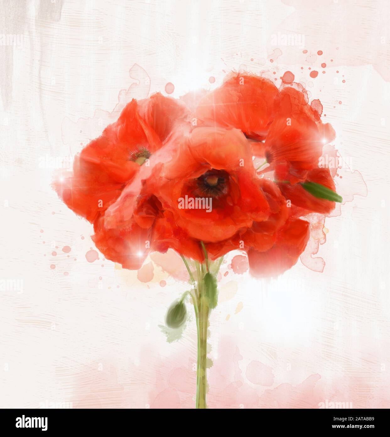 Spring And Summer Flowers Collection Red Poppies Bouquet In Oil Painting Style Stock Photo Alamy Spring And Summer Flowers Collection Red Poppies Bouquet In Oil Painting Style Stock Photo Alamy