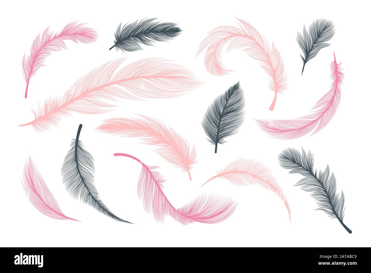 Feathers, vector pink and black fluffy quill plumes isolated on white background. Abstract feathers with realistic plumage texture pattern, wedding and birthday design elements, softness concept Stock Vector