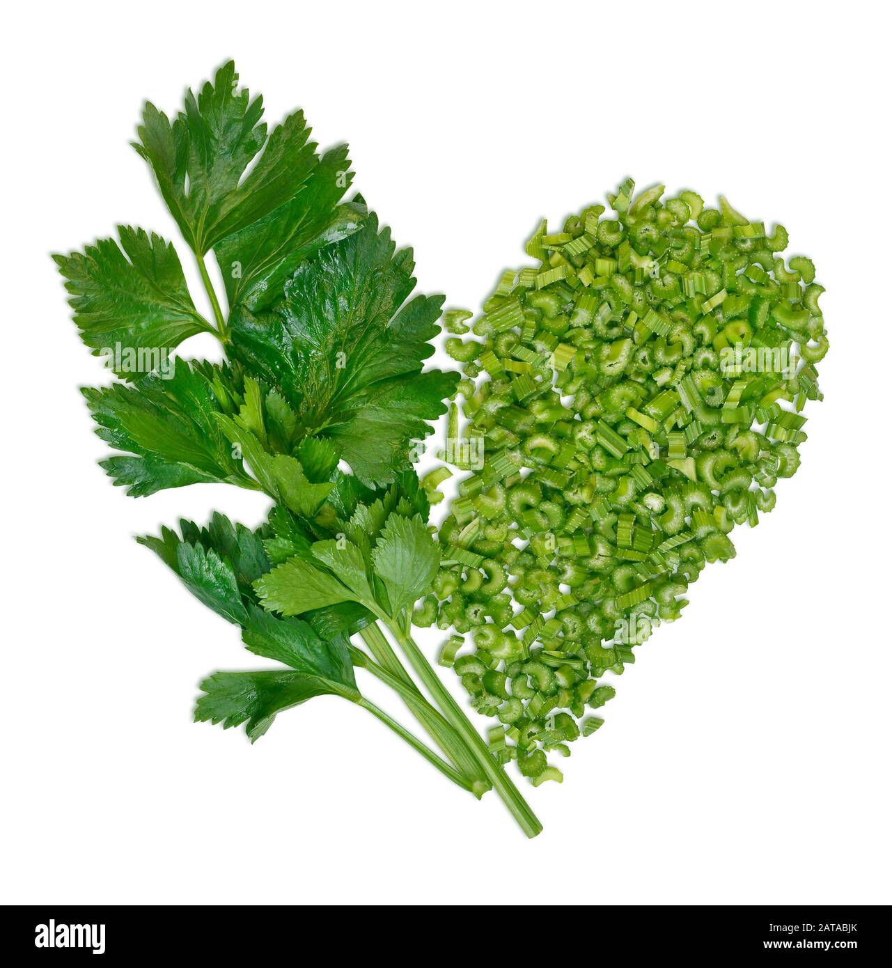 Fresh celery on white background. Celery sticks. Celery isolated. Celery stalk on white background. Food ingredients. Vegan. Вегетарианец Stock Photo