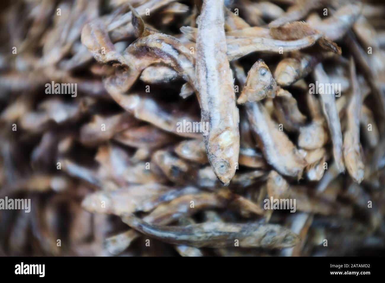 Dry fish in Sri Lanka Stock Photo Alamy