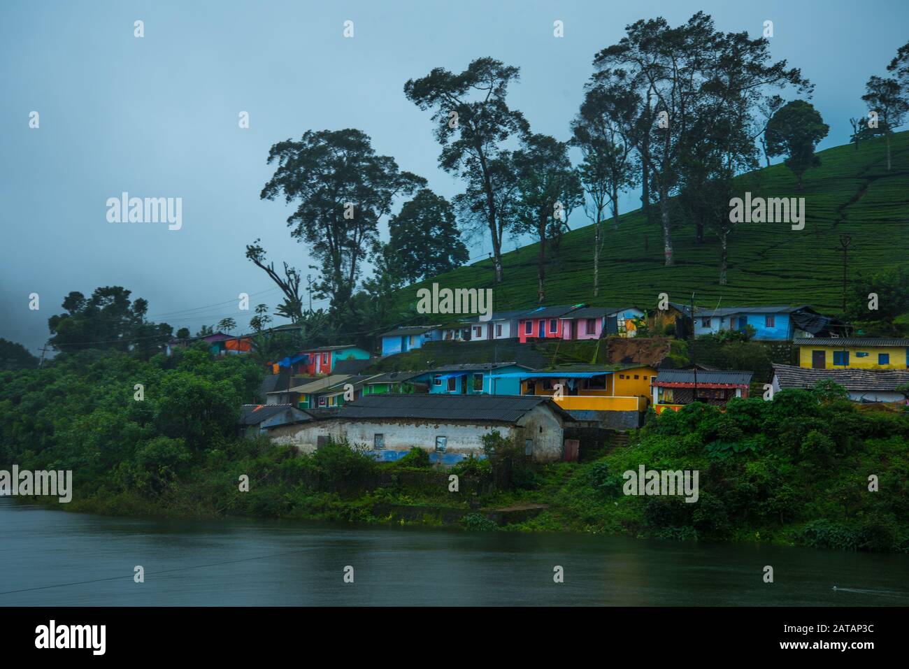 Munnar Tea Plantation Landscape , Kerala, India Stock Photo