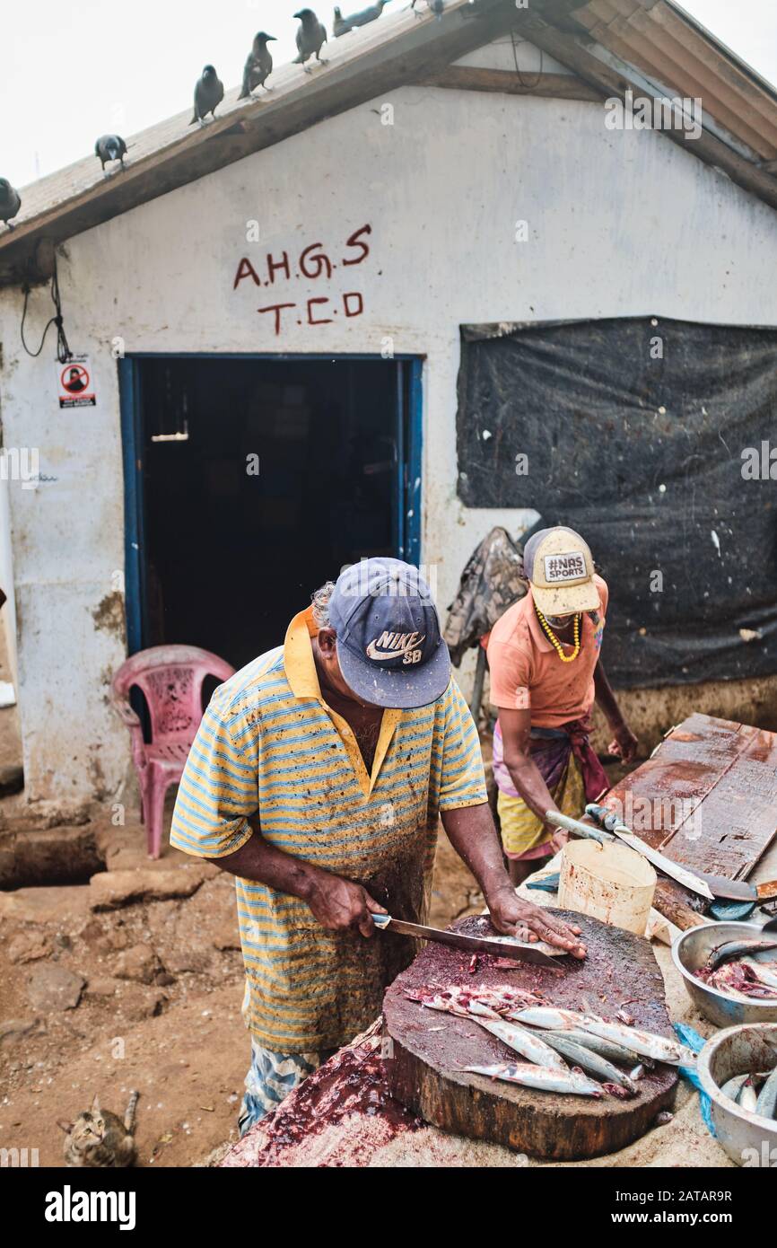 Two local fisherman cleaning fish on a outdoor market, while birds wait. Stock Photo