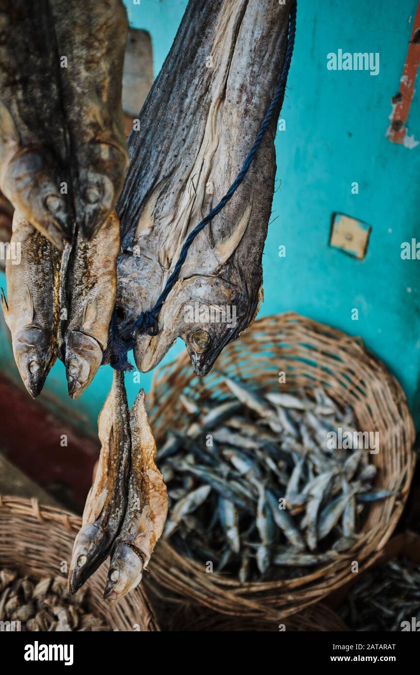 Dry fish in Sri Lanka Stock Photo Alamy