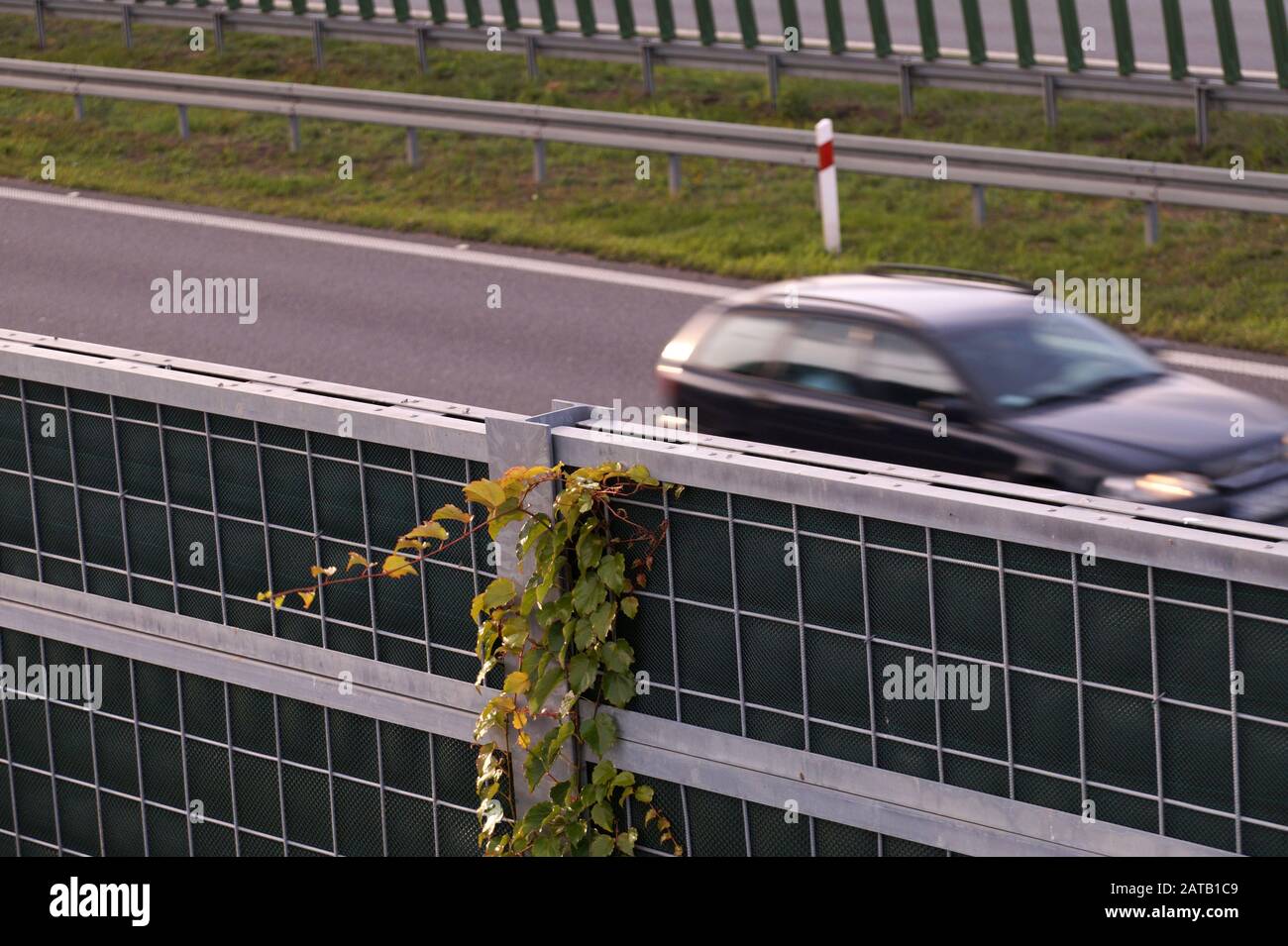 Autumn. Noise barriers at the highway overgrown with Virginia Creeper. Stock Photo