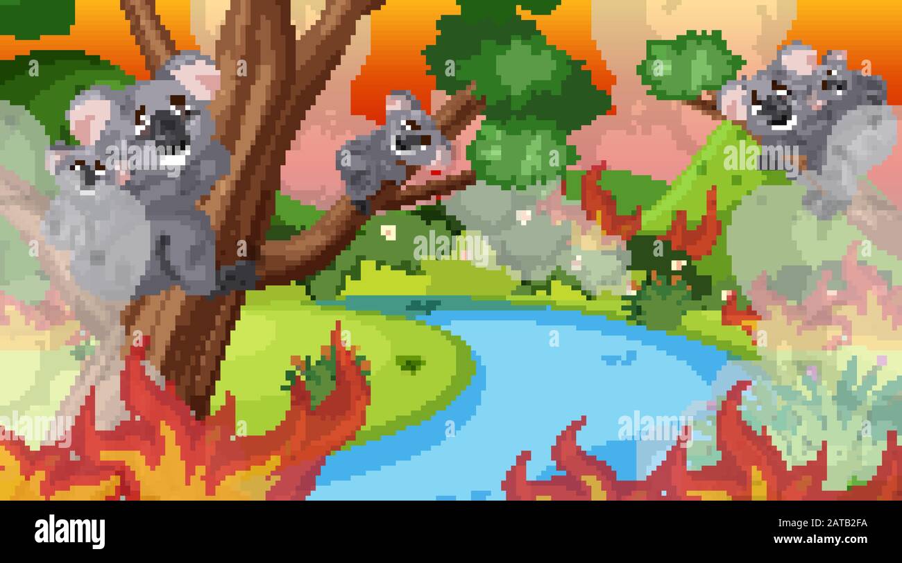 Scene with big wildfire in the forest full of koalas illustration Stock ...