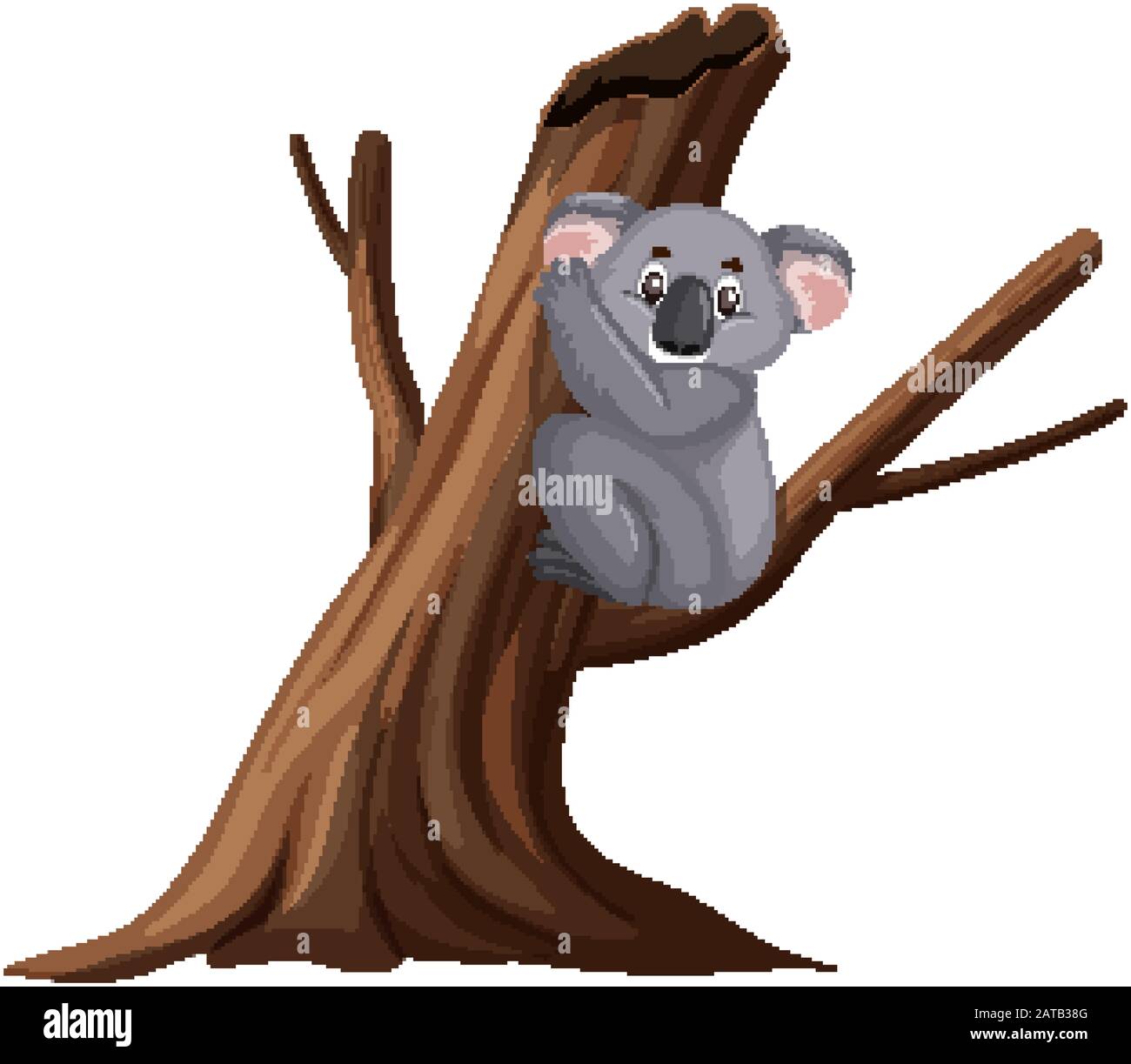 Cute koala sitting on the branch on white background illustration Stock ...