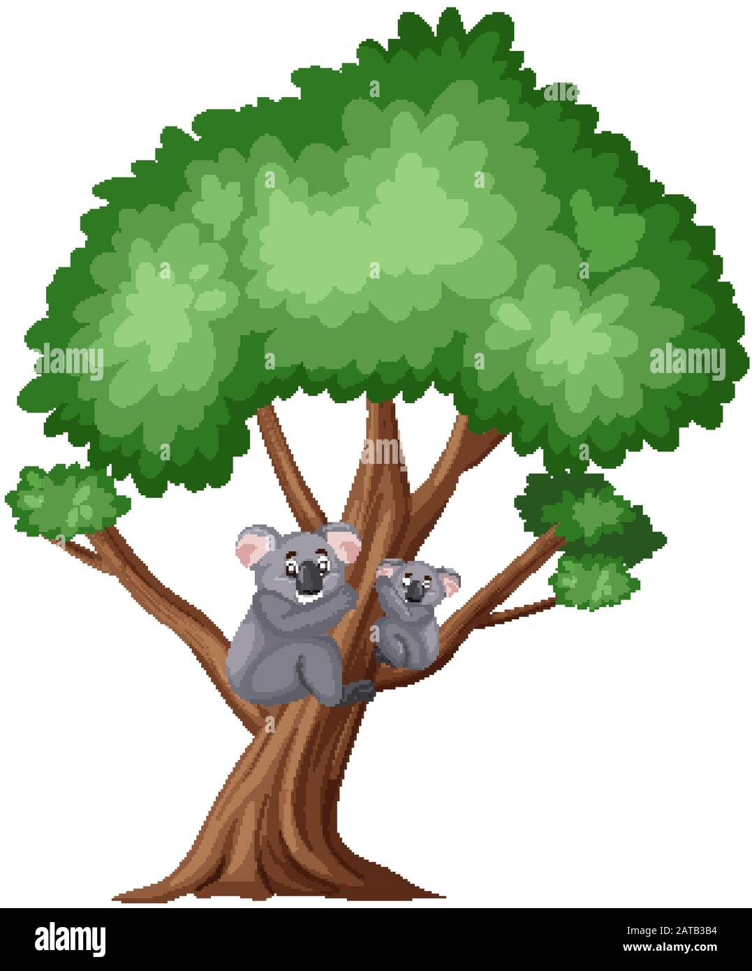 Cute koala on the big tree on white background illustration Stock ...