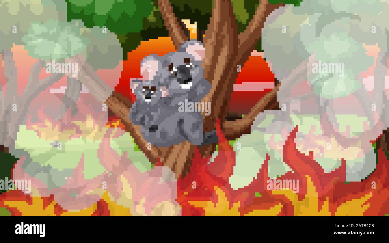 Scene with big wildfire with koalas trapped in the forest illustration ...