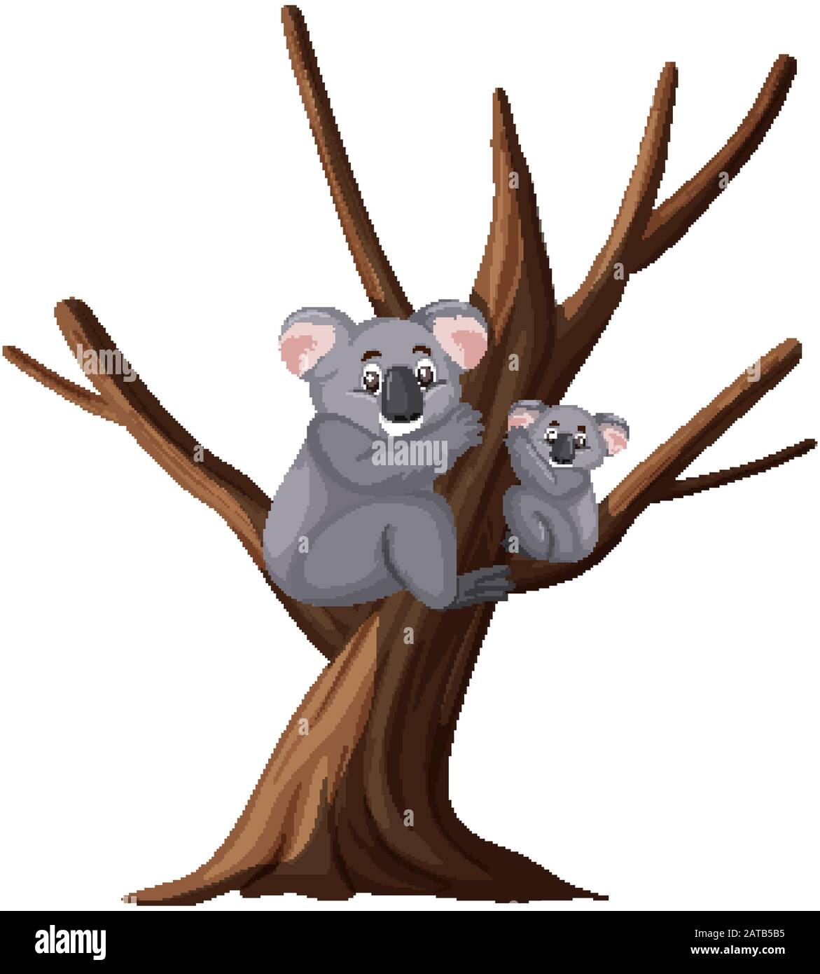 Two cute koalas on the tree on white background illustration Stock ...