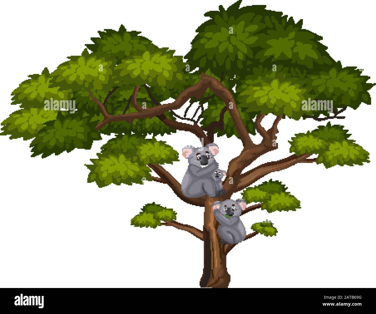 Big tree and cute koala on white background illustration Stock Vector ...