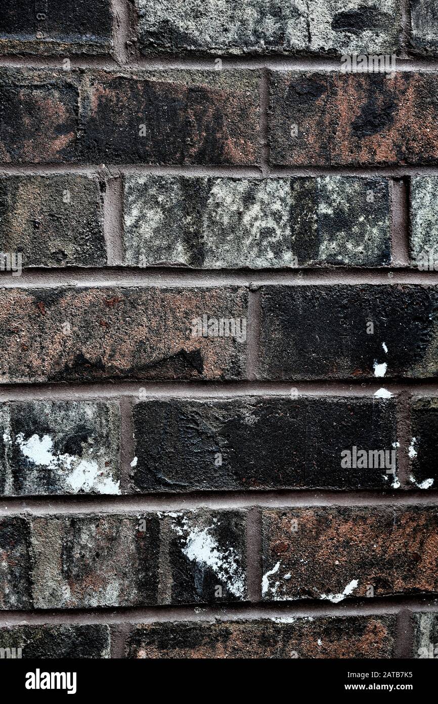 A richly dark, multi-colored, saturated & weathered brick wall, close up, with a vivid diagonal white stain; background. Stock Photo