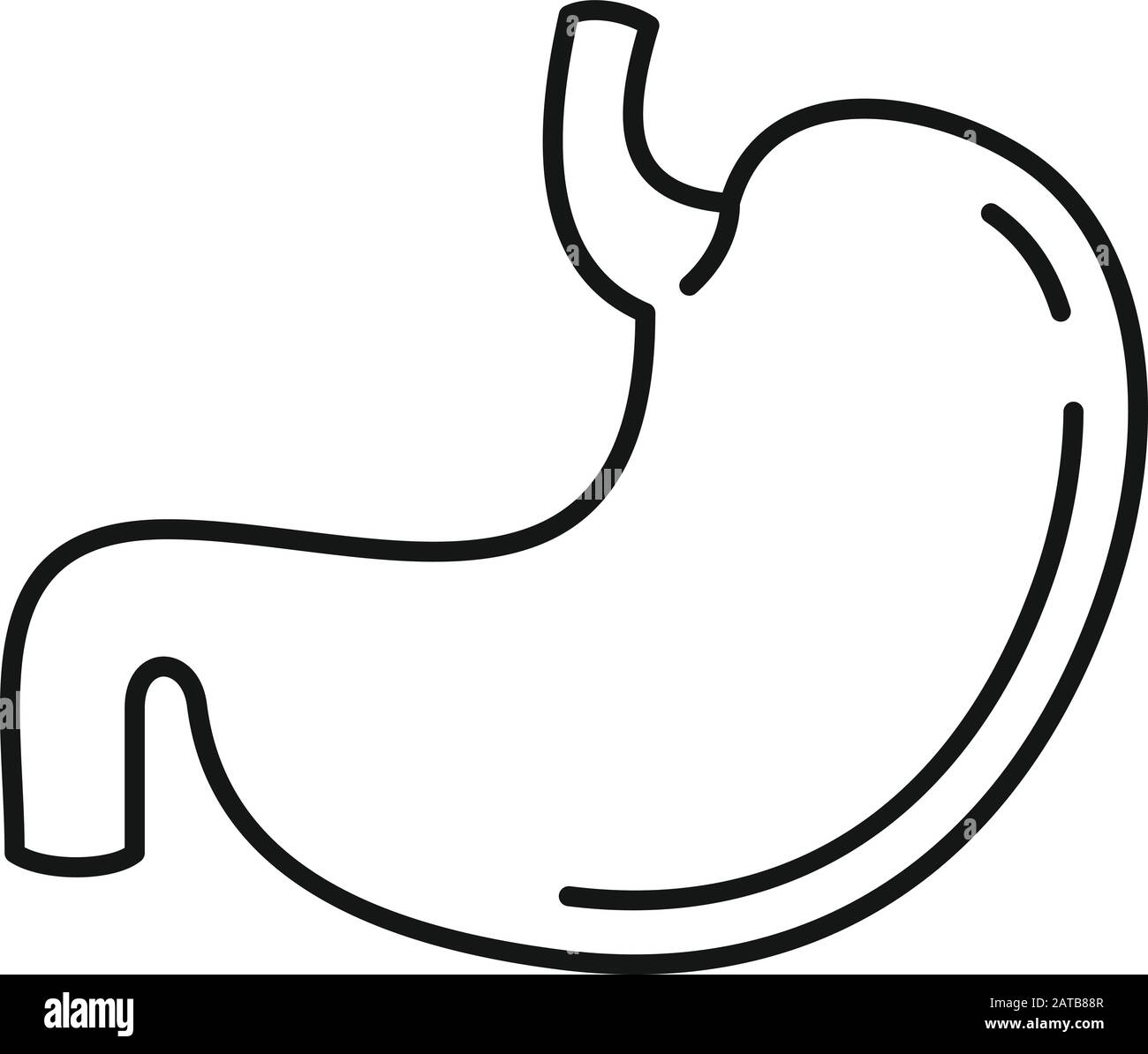 Body stomach icon. Outline body stomach vector icon for web design ...