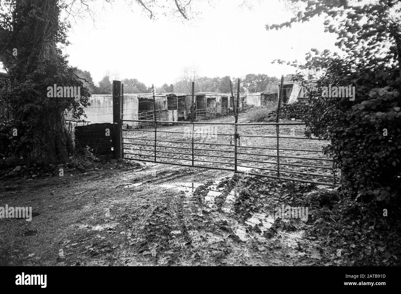 Pig farm, Lymington Bottom Road, Medstead, Hampshire, England, United