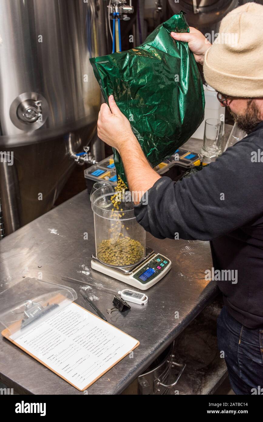 Brooklyn, New York, USA - January 8, 2019: Strong Rope Brewery - Founder and brewer Jason Sahler weighing hops. Stock Photo