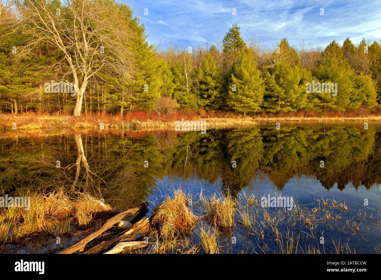 Lower Lake at Promised Land State Park, Pennsylvania, USA Stock Photo