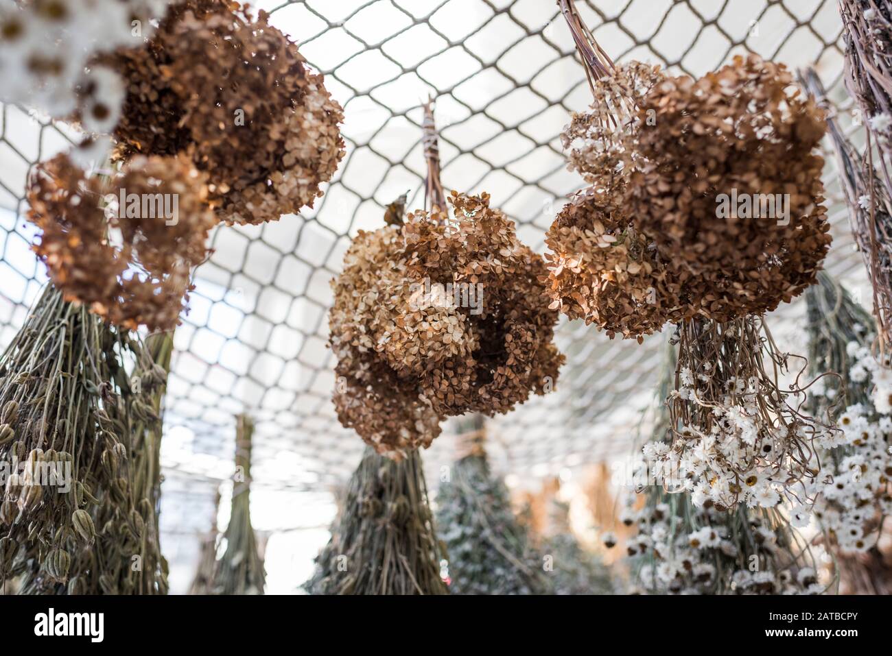 Bouquets of flowers hanging to dry Stock Photo Alamy