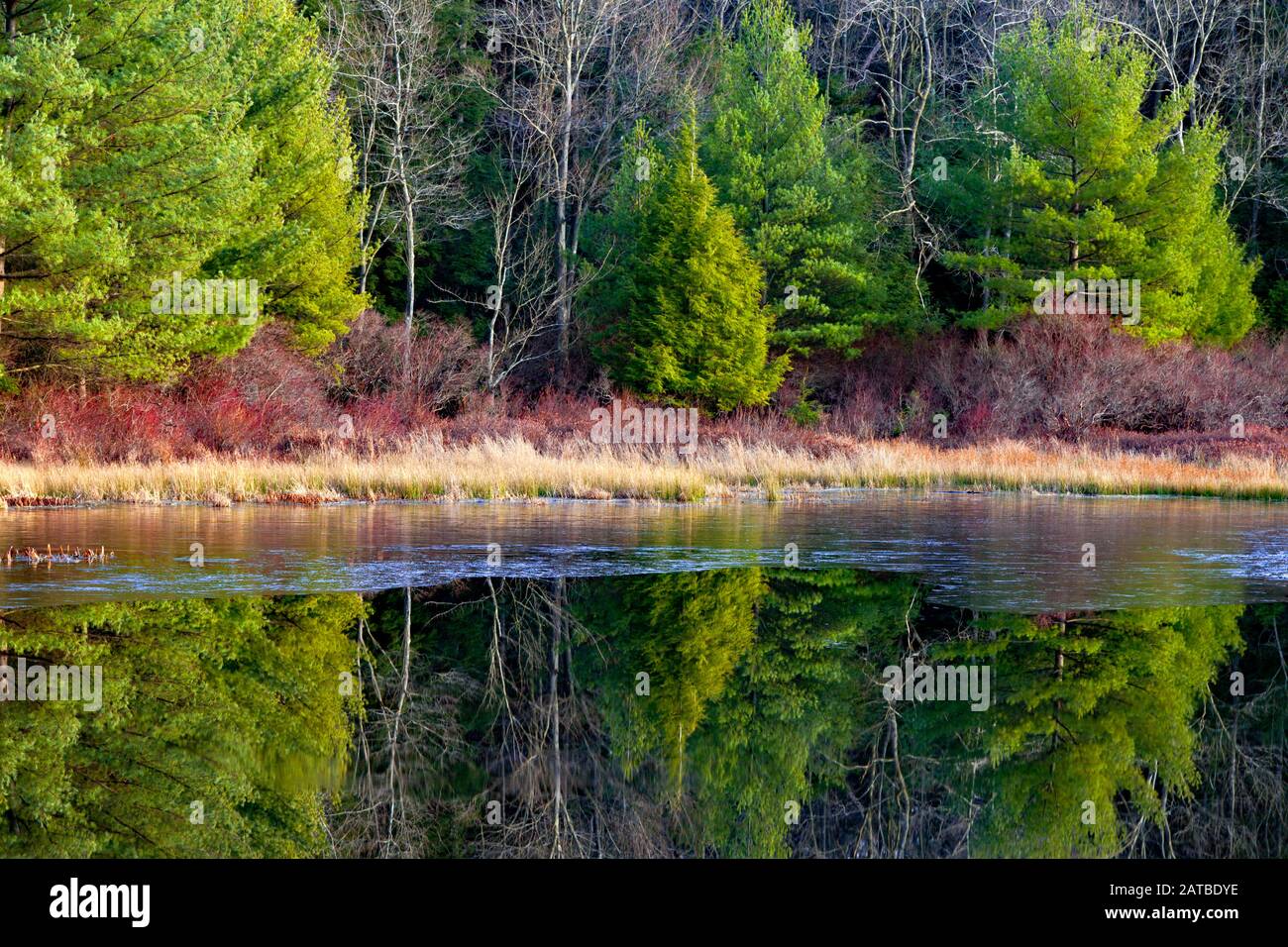 Lower Lake at Promised Land State Park, Pennsylvania, USA Stock Photo