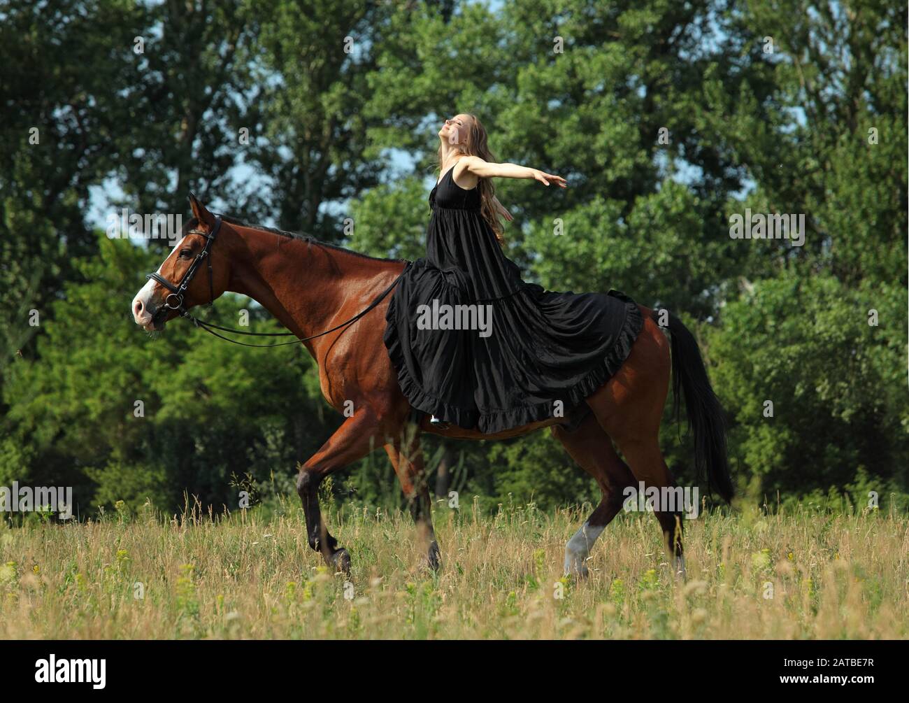 Beautiful brunette woman with long hair and black dress in the woods riding saddle horse Stock Photo