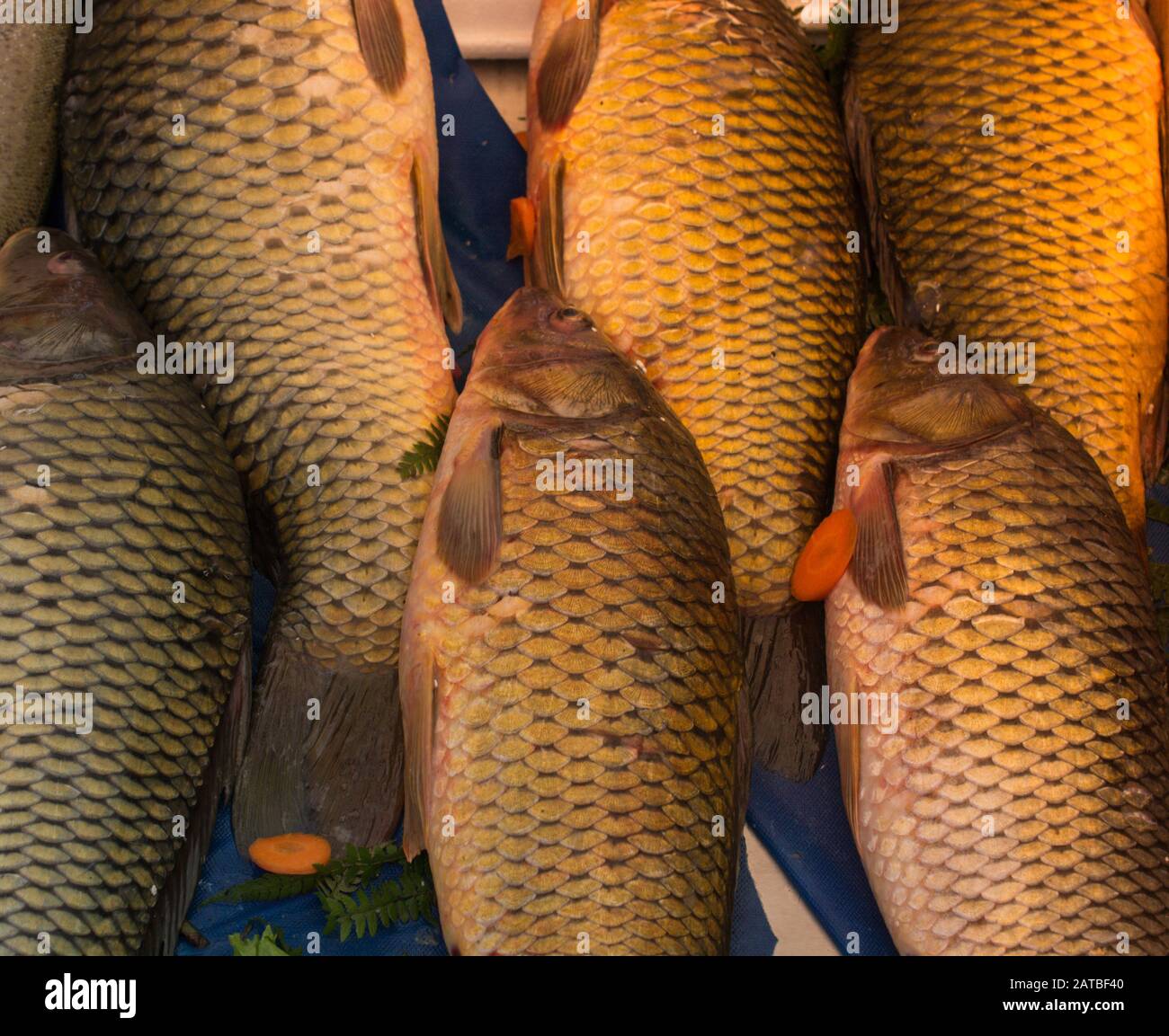 Fresh fish as sea food for sale at a fish market Stock Photo