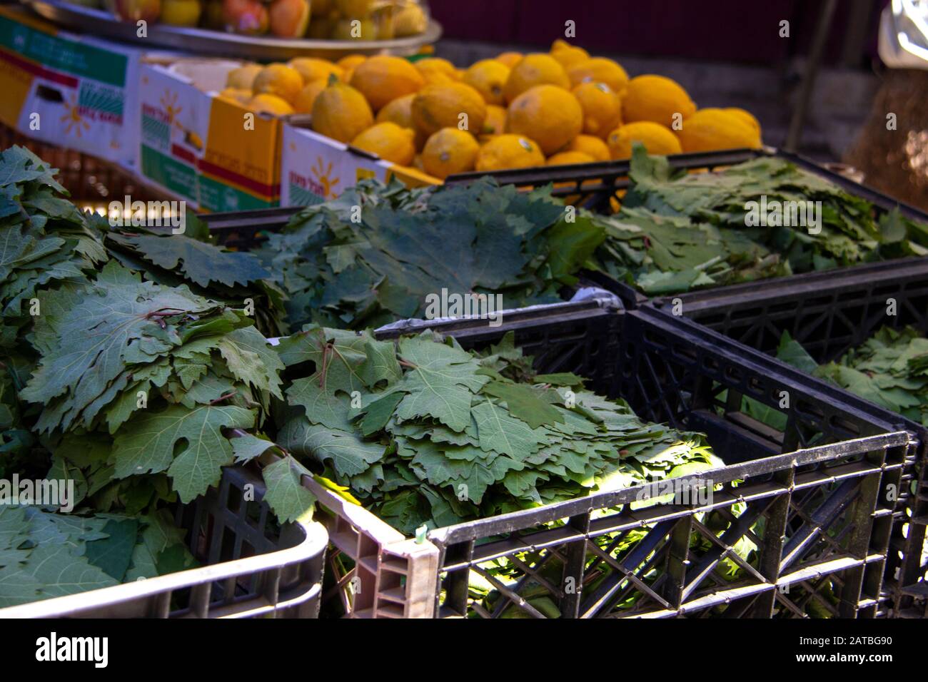 Grape leaves and oranges for sale in the Acre market Stock Photo
