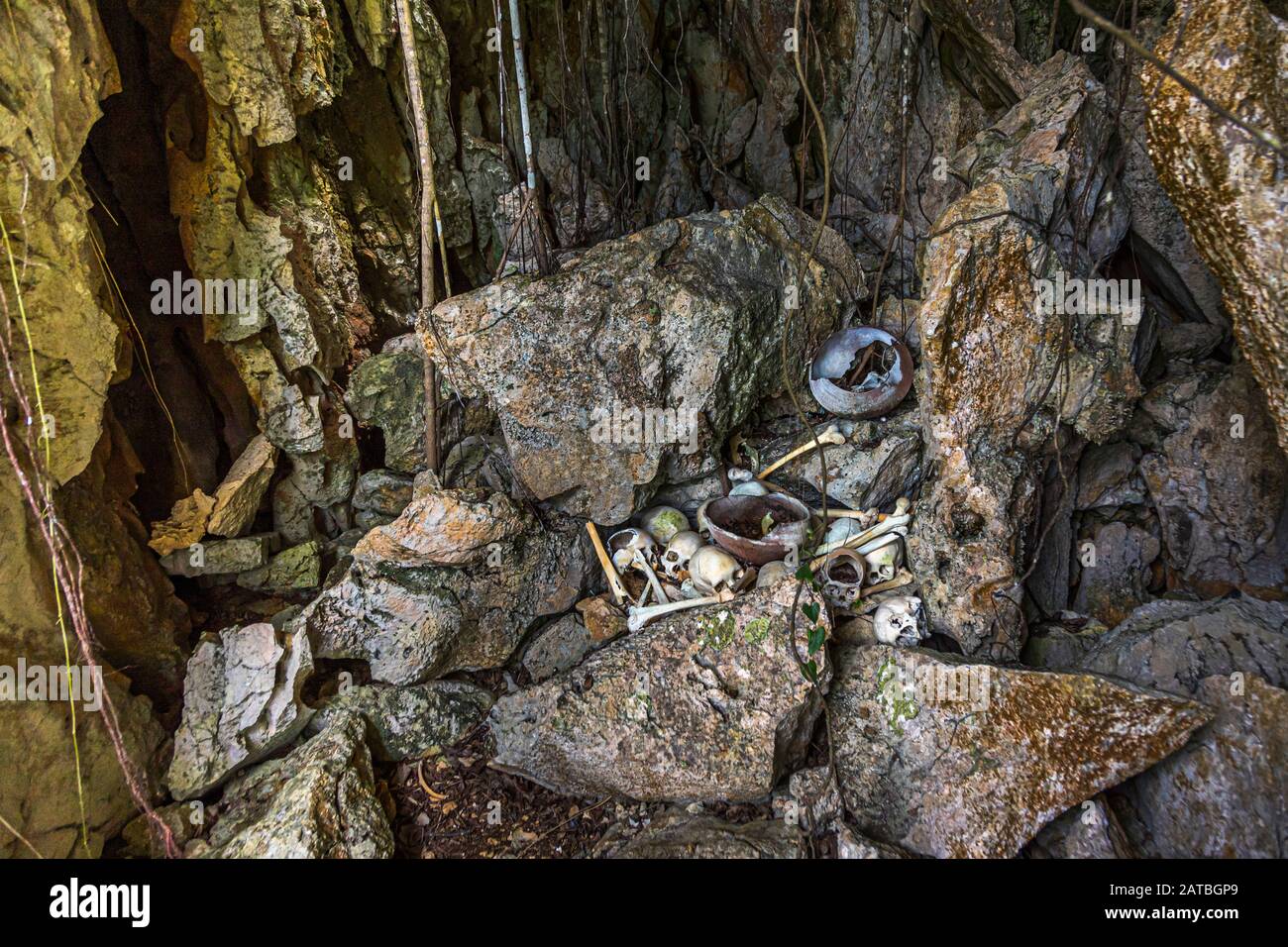 Amid hanging aerial roots, human skulls and bones of cannibals lie in a rock crevice on the island of Pana Wara Wara, Milne Bay Province, Papua New Guinea. Stock Photo