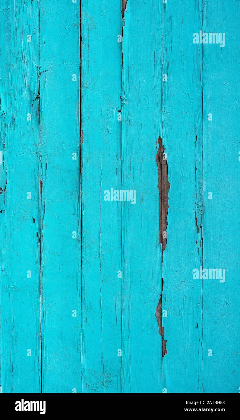 Old blue boards. Vintage blue background from old boards. Wood texture
