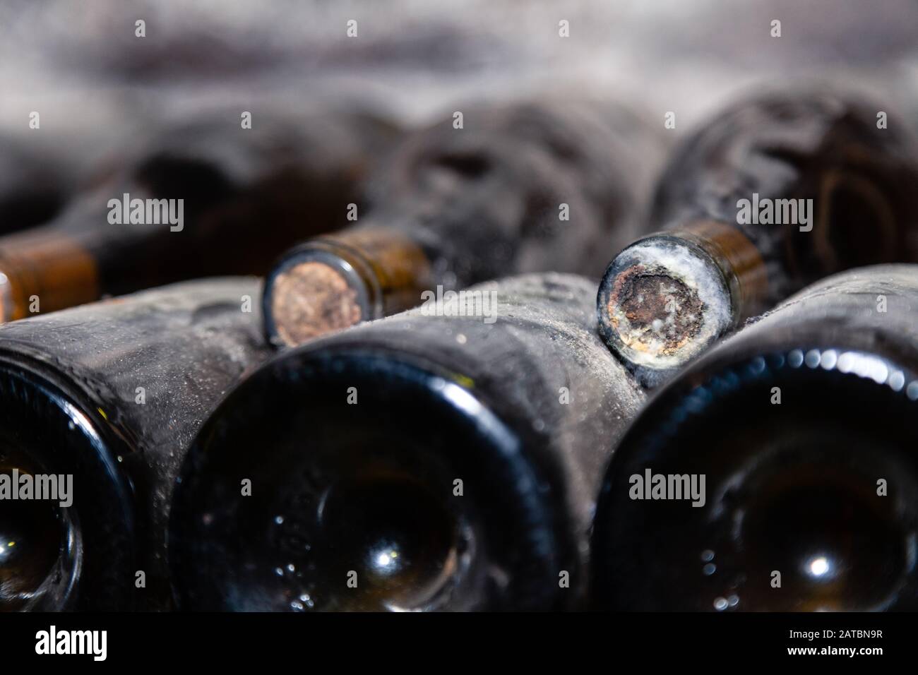 Closeup dark dusty wine bottles with old crumbly cork. Long aging, musty winery vault, rare