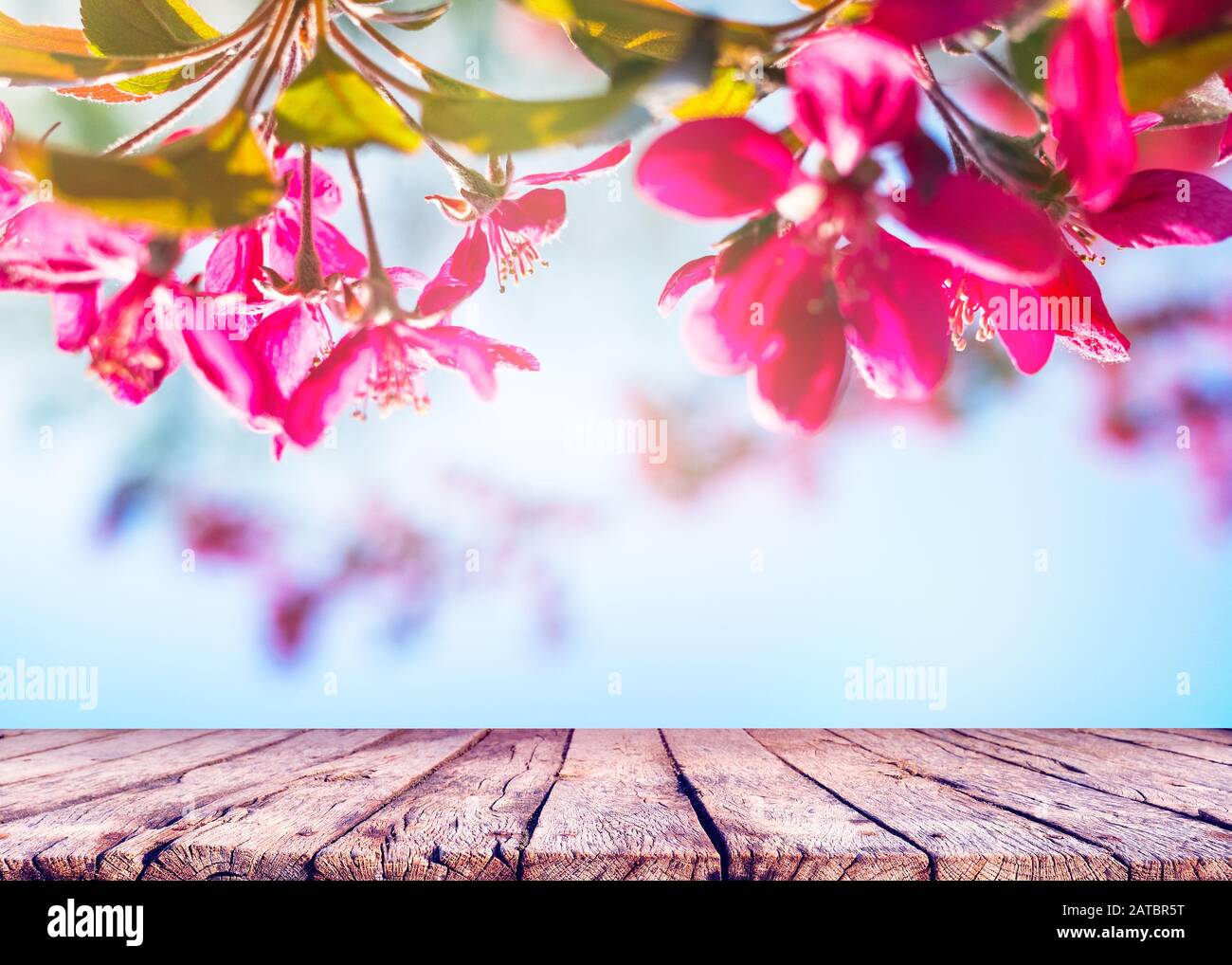 Spring nature background with pink flowers and wooden table top Stock Photo